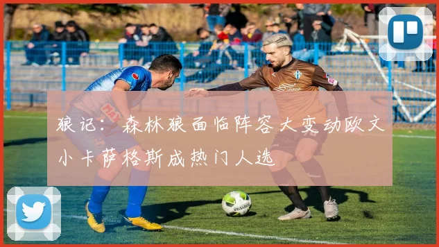 狼记：森林狼面临阵容大变动欧文小卡萨格斯成热门人选